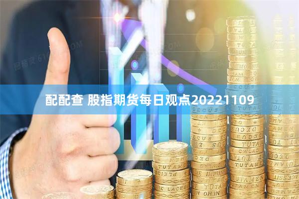 配配查 股指期货每日观点20221109