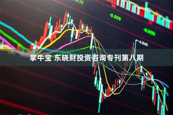 掌牛宝 东晓财投资咨询专刊第八期