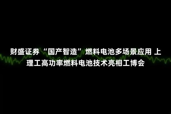 财盛证券 “国产智造” 燃料电池多场景应用 上理工高功率燃料电池技术亮相工博会