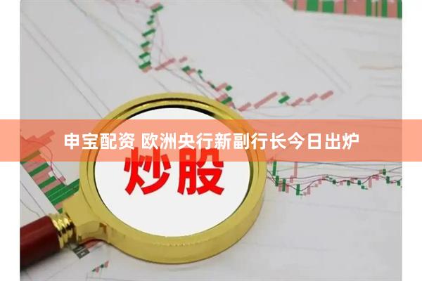 申宝配资 欧洲央行新副行长今日出炉